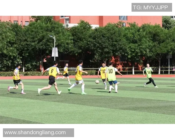 校园足球明星系列：青春挥洒绿茵场的梦想与拼搏之路